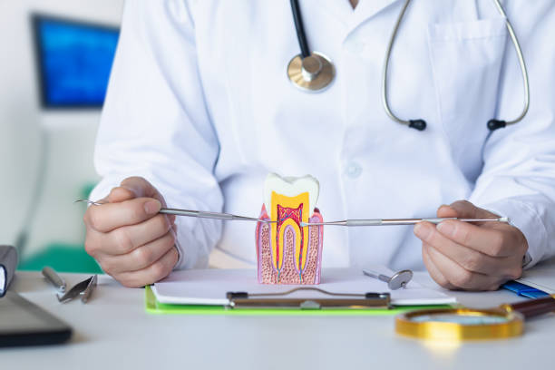 Best Emergency Treatment for Toothache in Boothwyn, PA